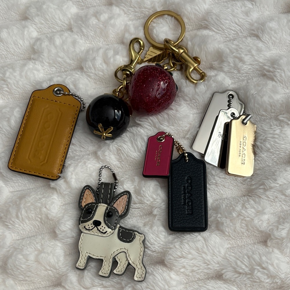 Coach charms